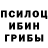 Псилоцибиновые грибы Magic Shrooms indira kahrimanova