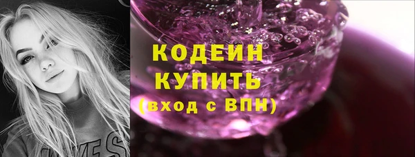 дурь Арсеньев