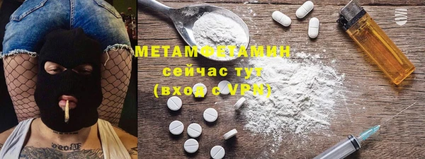 прущие грибы Новозыбков