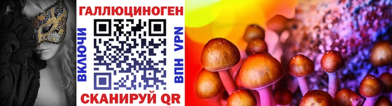 Псилоцибиновые грибы Cubensis Скопин